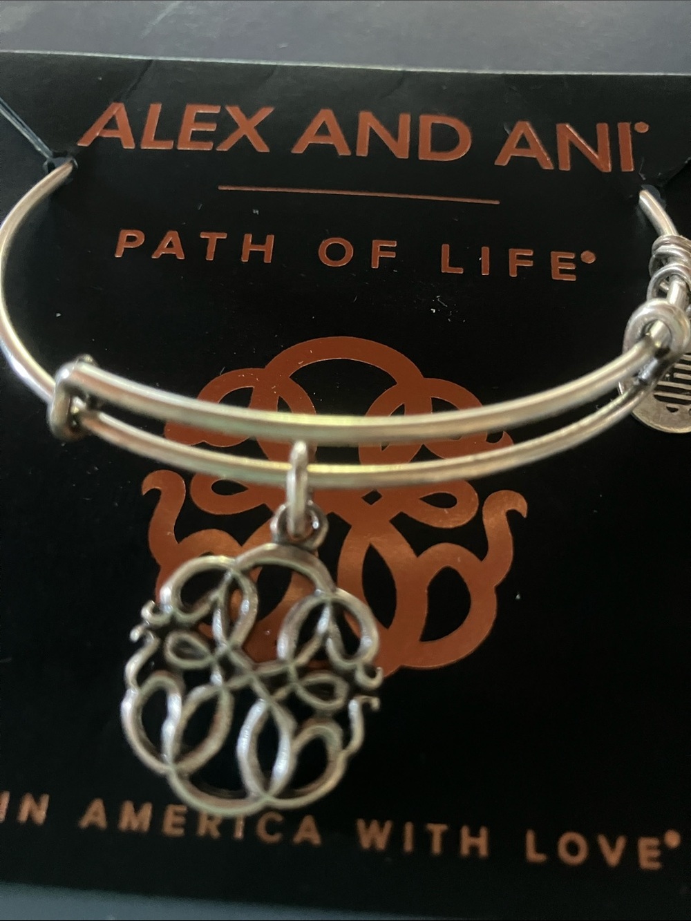 Alex and Ani Silver Path of Life Charm Bangle